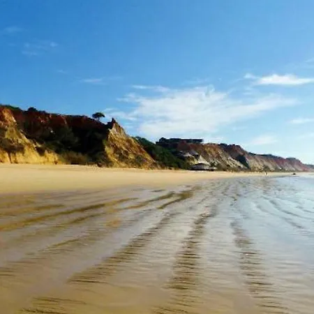 Apartment Magnifique A 400 Metre Des Plages